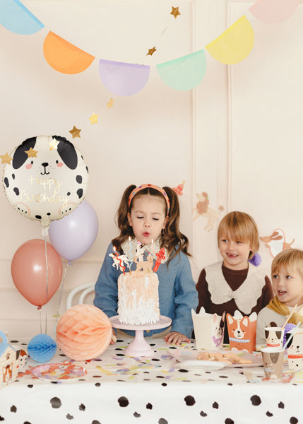 Balon Folie Catel